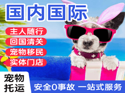 江北空运地址国际宠物托运 【国